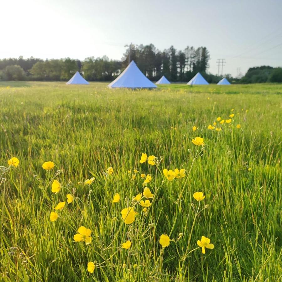 Hotel Dorset Glamping Fields Corfe Mullen Exteriér fotografie
